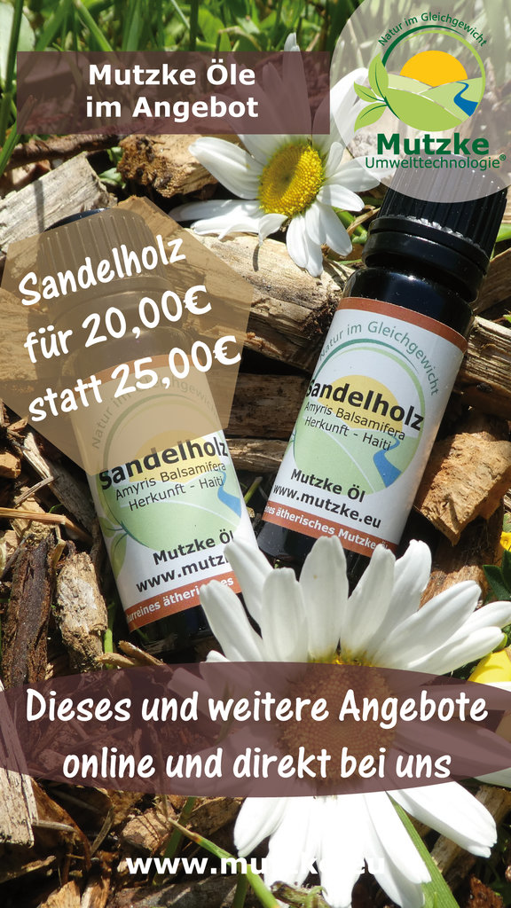 Sandelholz Öl